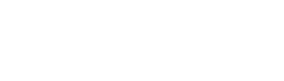 Influence For Impact